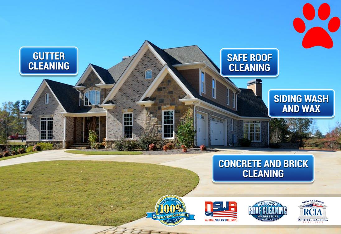 affordable soft power washing and safe roof cleaning services