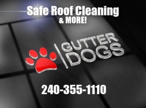 roof cleaning service maryland