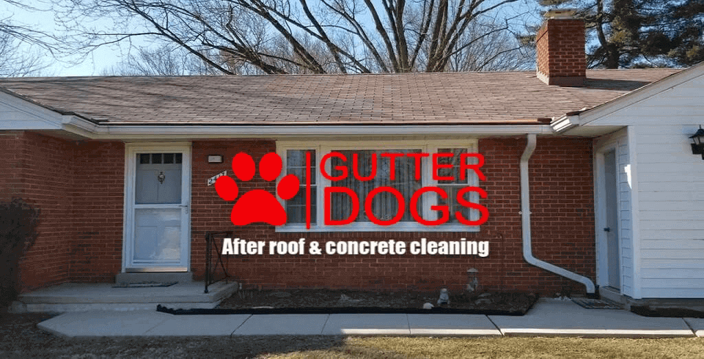 Roof Cleaning Service maryland