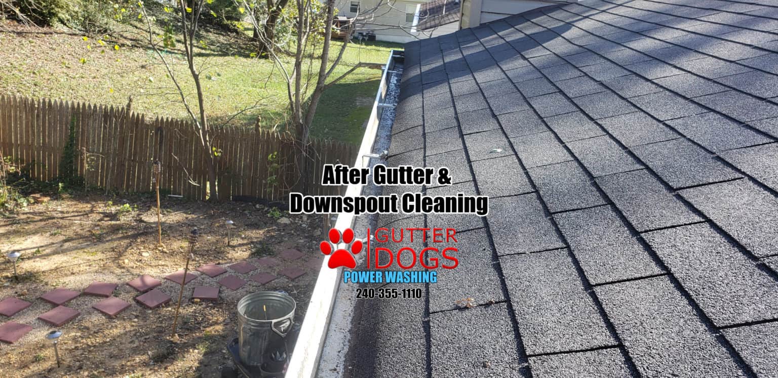 Gutter Cleaning