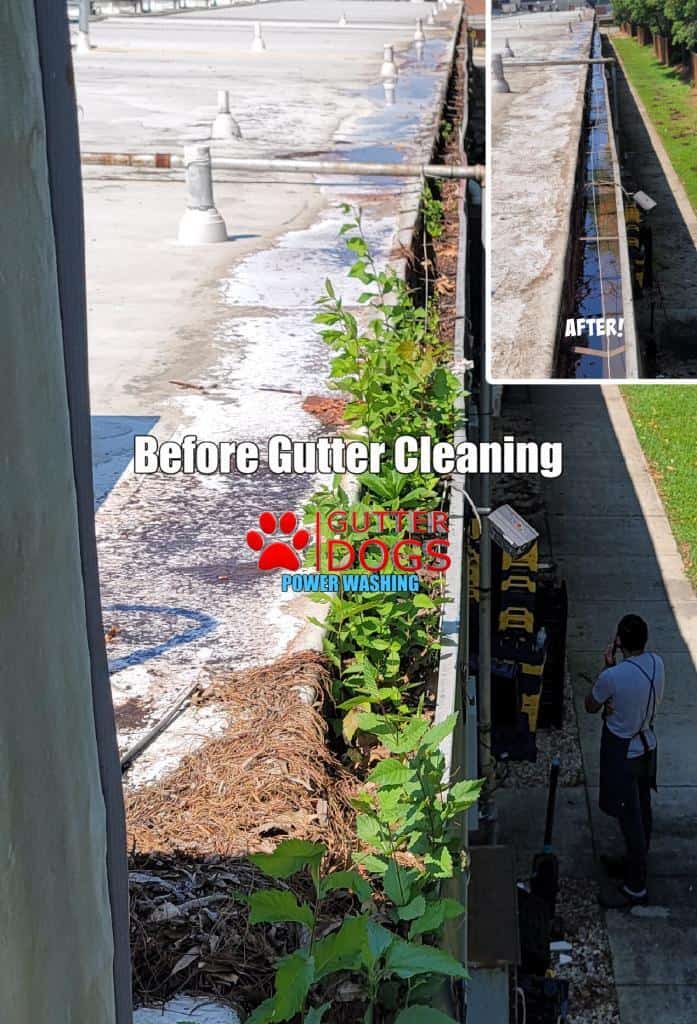 commercial gutter cleaning Maryland
