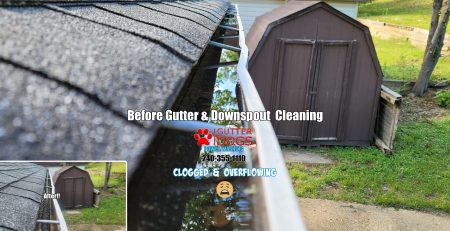 gutter cleaning Md