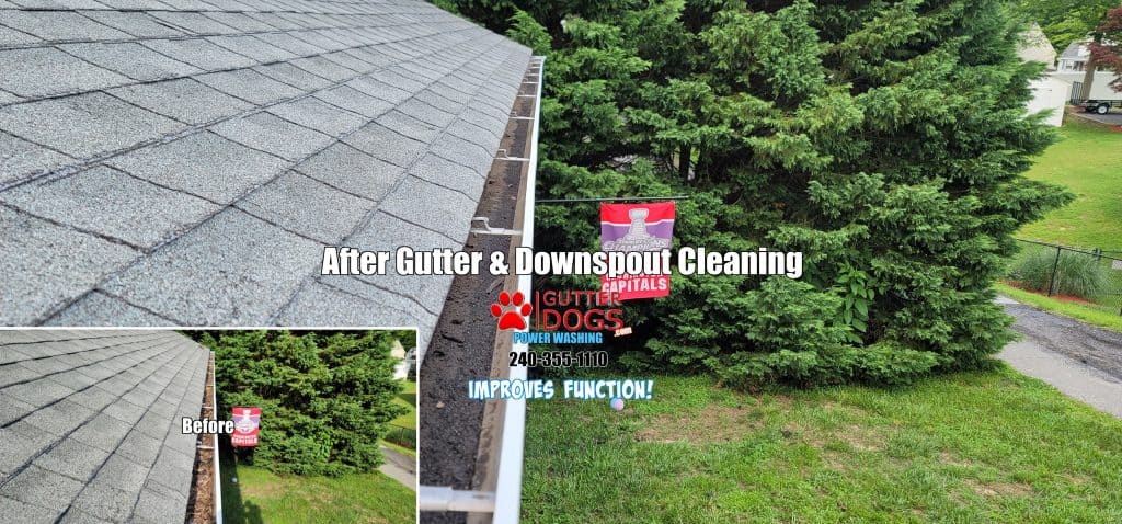 Gutter cleaning Southern Maryland