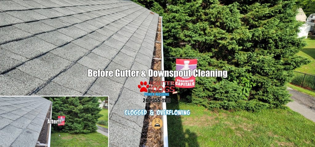 gutter cleaning southern Md