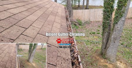 Gutter Cleaning Fort Washington Maryland