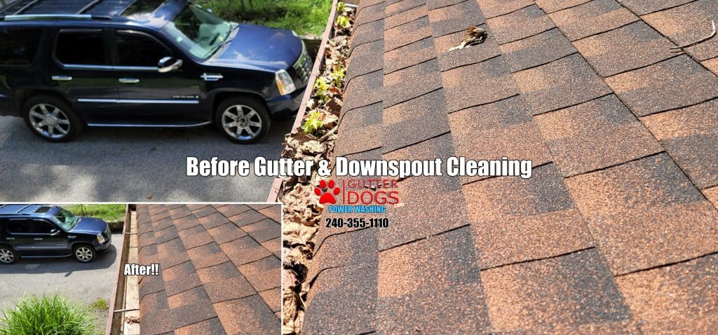 gutter cleaning PG county Md