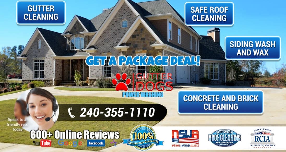 Roof Cleaning Prince Georges county MD