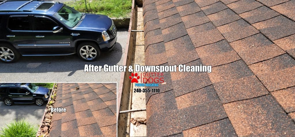 gutter cleaning PG county Md