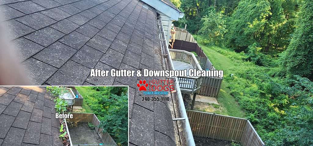 gutter cleaning Md