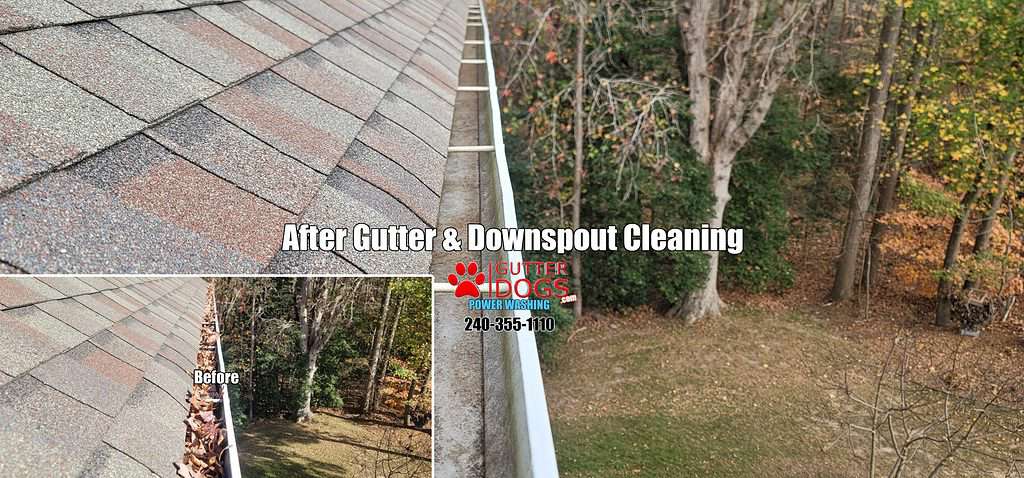gutter cleaning Waldorf Md