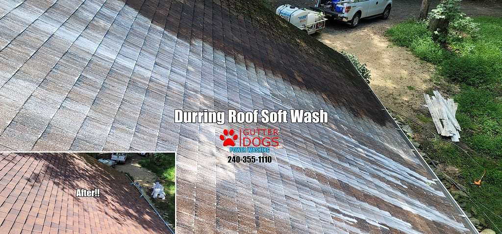 roof cleaning md