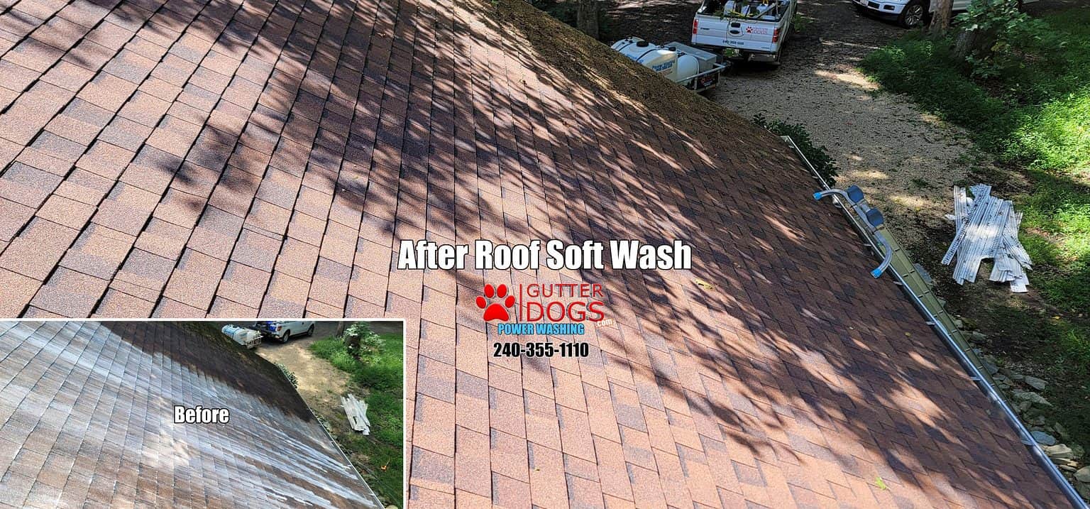Power Washing Maryland GUTTERDOGS Affordable Soft Power Washing