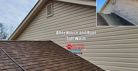 soft washing PG county MD