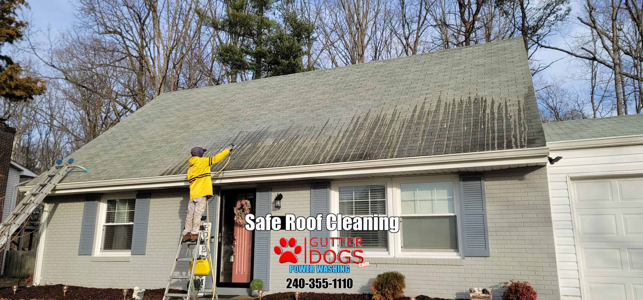 Roof Cleaning Greenbelt Md