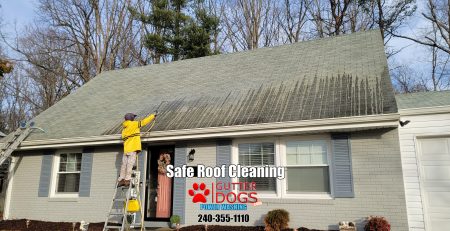 Roof cleaning PG County Md