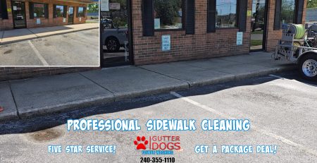 sidewalk cleaning Clinton Md