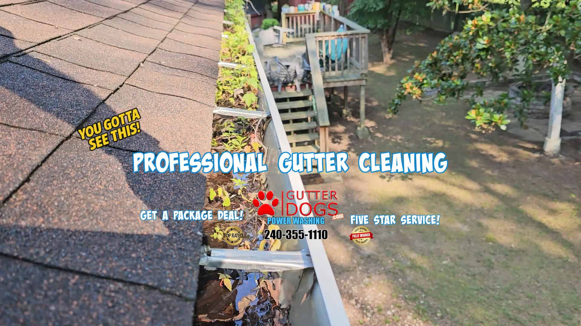 gutter Cleaning Accokeek Md