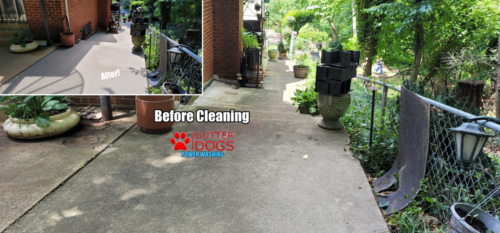 Concrete Cleaning District of Columbia