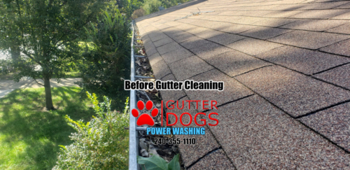 gutter cleaning in Clinton Maryland