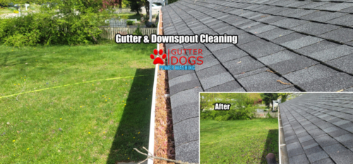 Gutter Cleaning PG county Maryland