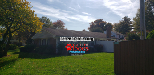 roof cleaning Bowie Maryland