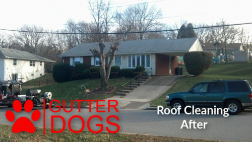 Roof Cleaning Company Maryland