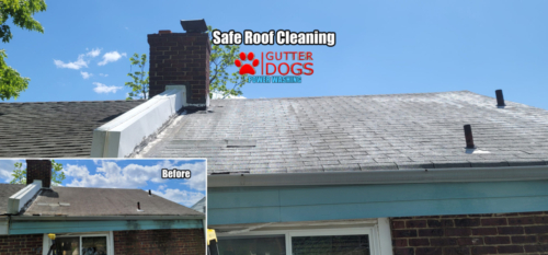 Roof Cleaning District of Columbia