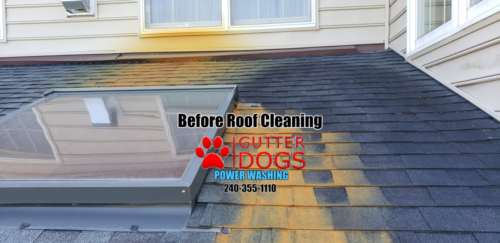 roof cleaning Maryland