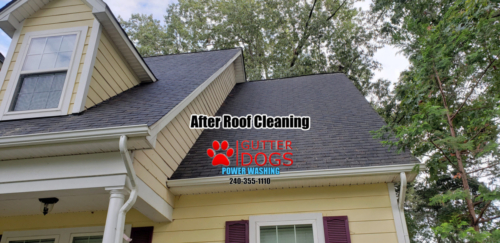 roof cleaning Maryland