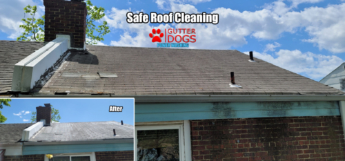 Roof Cleaning Wash DC