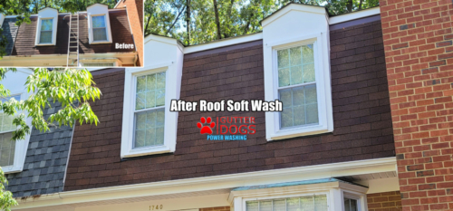 Roof Cleaning service Crofton Maryland