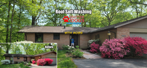 Roof Soft Washing Maryland(1)