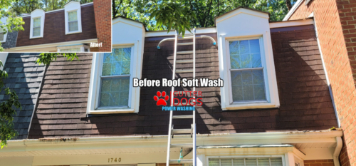 Roof Cleaning service Crofton Maryland