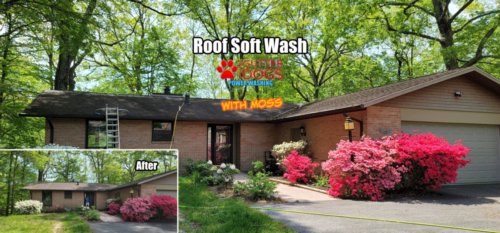 Roof soft washing Maryland