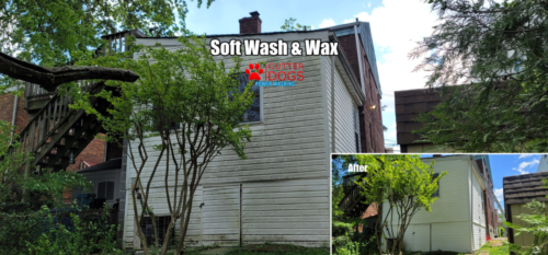 Soft washing District of Columbia