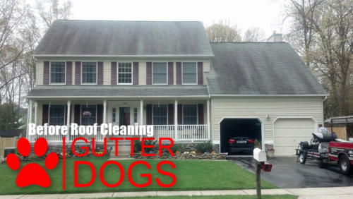 Roof Cleaning Maryland