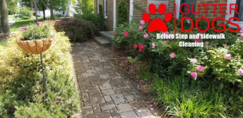 brick paver cleaning maryland