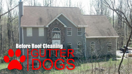 Roof Cleaning Maryland