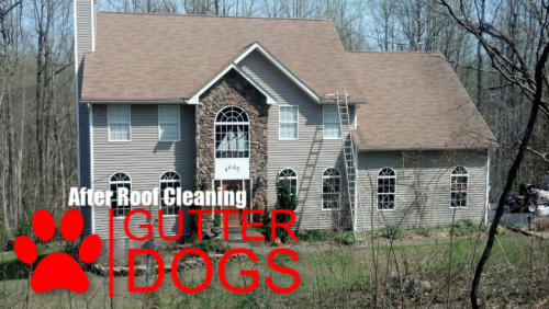 Roof Cleaning Maryland