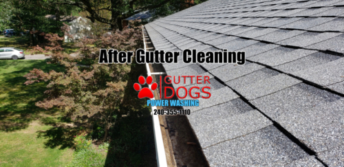 gutter cleaning Maryland