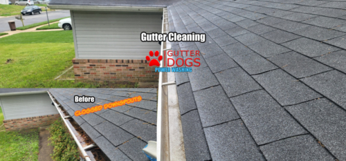 gutter cleaning Waldorf Maryland