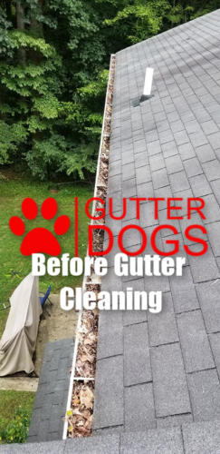 Gutter cleaning Huntingtown Maryland