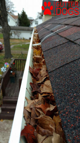 gutter cleaning company maryland before
