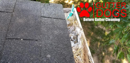 gutter cleaning maryland 13