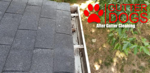 gutter cleaning maryland 14