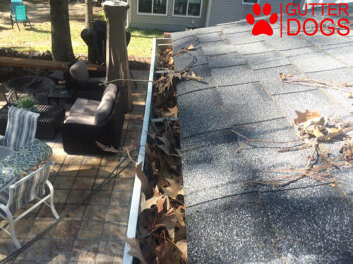 gutter cleaning company maryland before