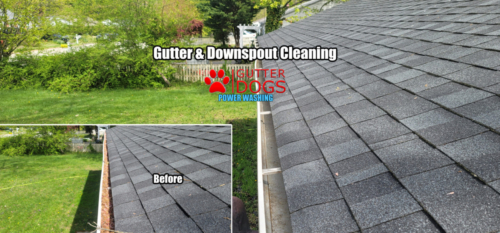 gutter cleaning pg county Maryland