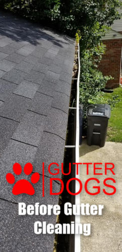 gutter cleaning service maryland 1