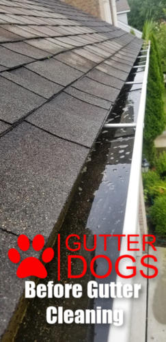 gutter cleaning service maryland 3