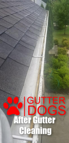 gutter cleaning service maryland 4